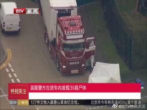 爆料卡车司机视频,揭秘运输行业背后的真相